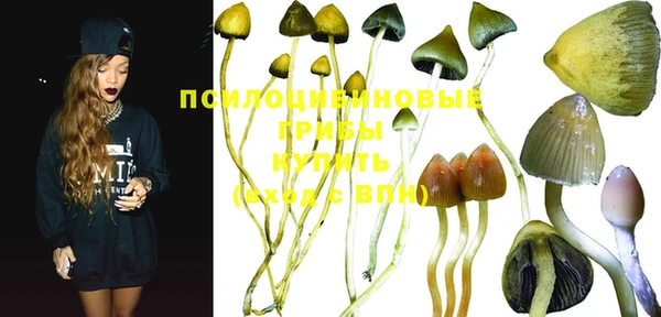 индика Липки