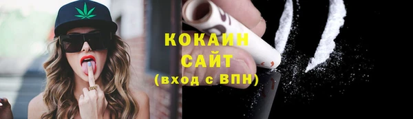 индика Липки