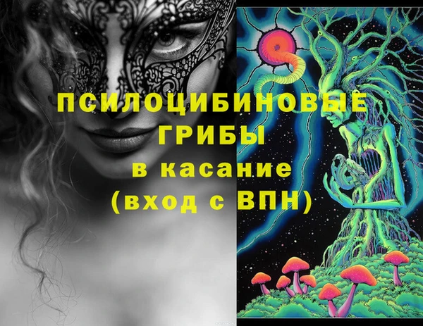 индика Липки