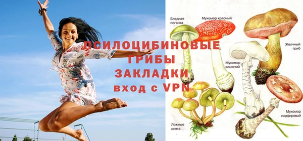 мдпв Лихославль