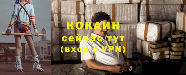 индика Липки