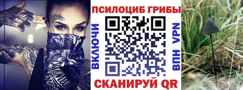 Псилоцибиновые грибы Psilocybe  kraken зеркало  Сызрань 