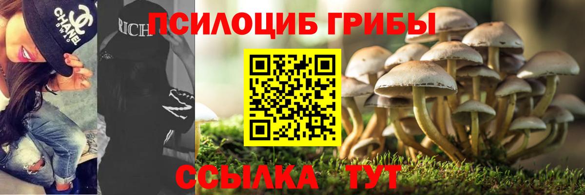 Сызрань  Псилоцибиновые грибы GOLDEN TEACHER  Вход с VPN 