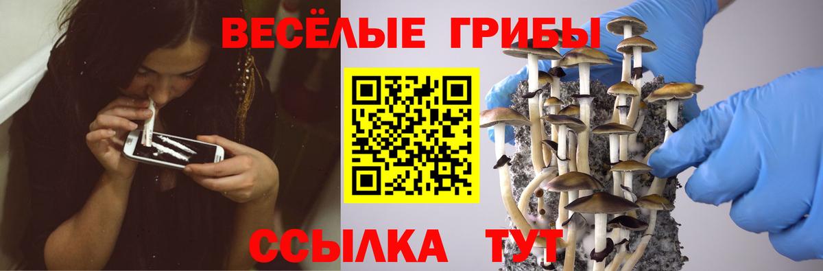 Псилоцибиновые грибы ЛСД Сызрань